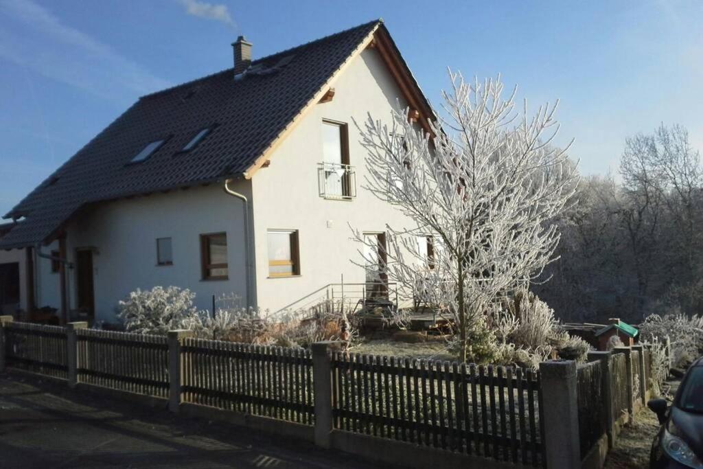 Appartment Am Traetzhof Fulda Esterno foto
